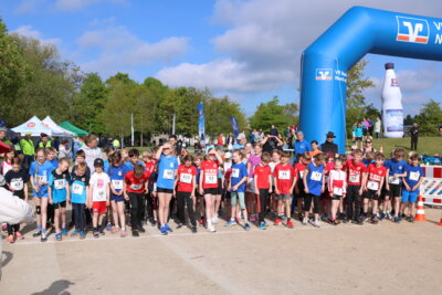 Foto des Albums: 36.Schleswiger VR Bank Stadtlauf (14. 05. 2024)