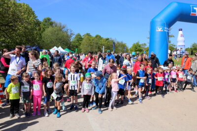 Foto des Albums: 36.Schleswiger VR Bank Stadtlauf