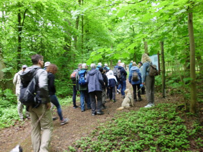 Foto des Albums: Deistertag - 2024