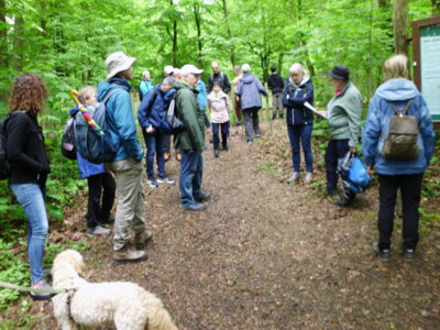 Foto des Albums: Deistertag - 2024