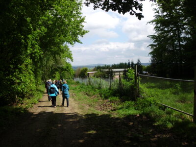 Foto des Albums: Deistertag - 2024