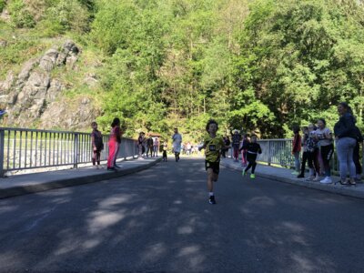 Foto des Albums: Triebtal-Lauf 2024