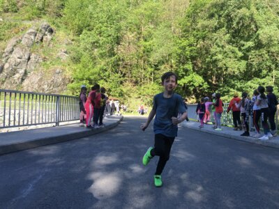 Foto des Albums: Triebtal-Lauf 2024