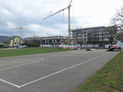 20.02.2024  (Bild vergr&ouml;&szlig;ern)