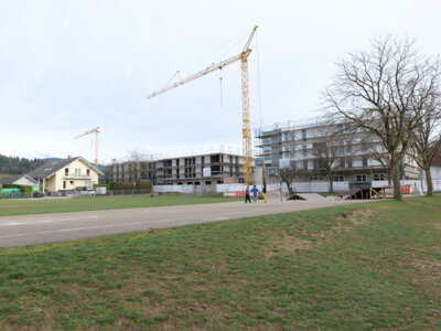 01.03.2024  (Bild vergr&ouml;&szlig;ern)