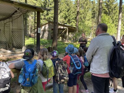 Foto des Albums: Besuch des Wildparks Mehlmeisel und des Kräuterdorfs Nagel mit Kindern aus der Partnerschule in Cheb (15. 05. 2024)