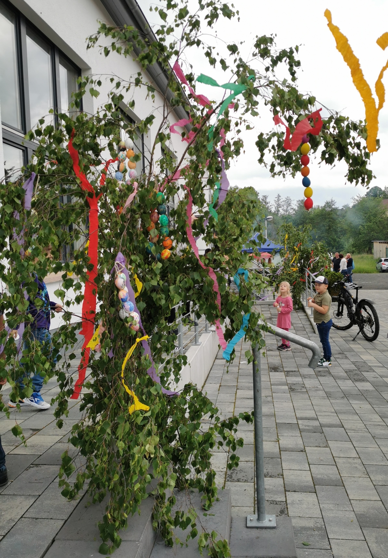 Bild der Galerie