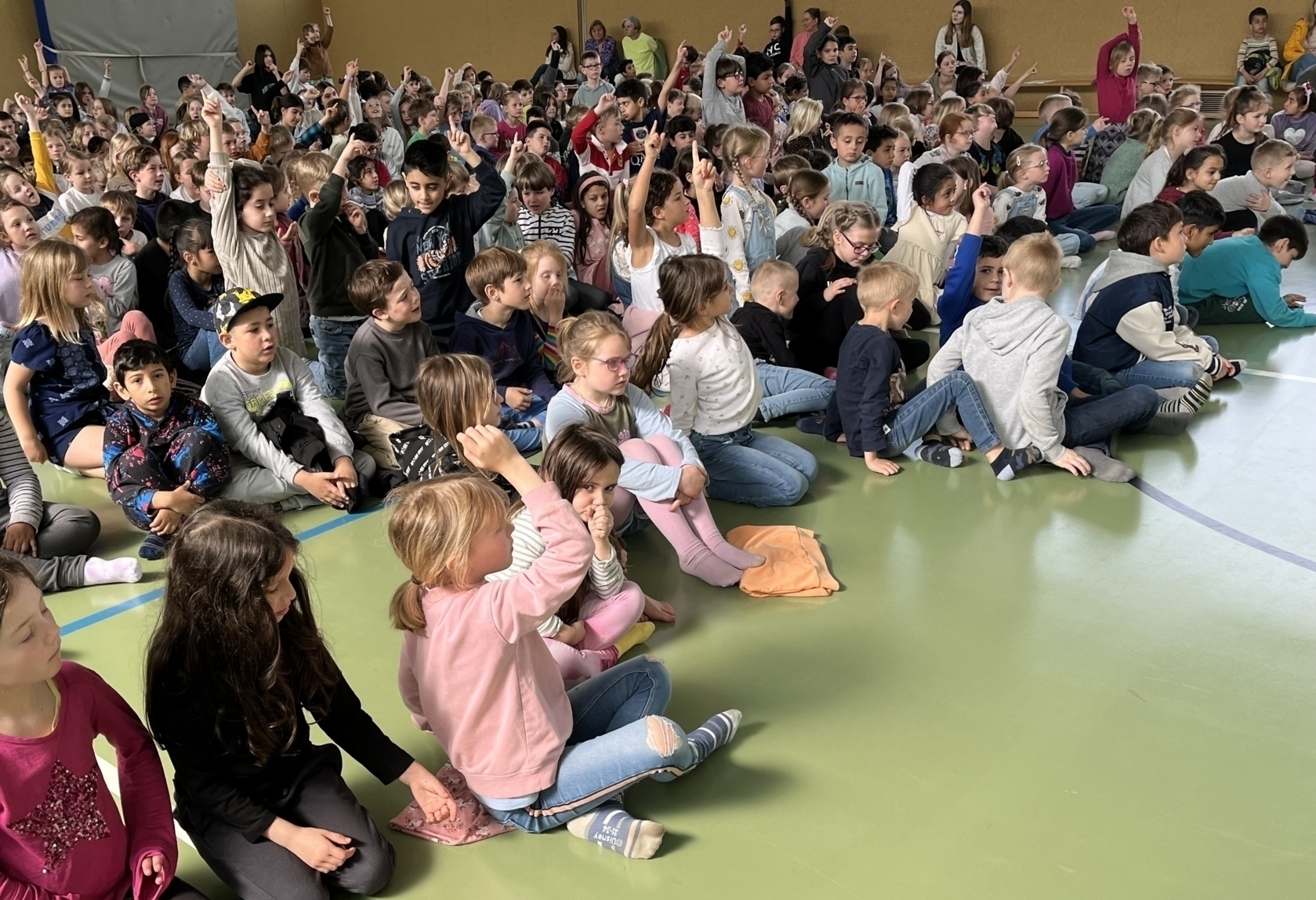 Bild der Galerie