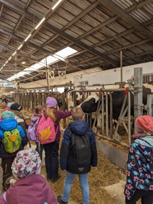 Foto des Albums: Wandertag zum Lehr- und Versuchsgut Köllitsch
