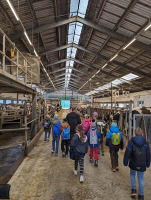 Foto des Albums: Wandertag zum Lehr- und Versuchsgut Köllitsch