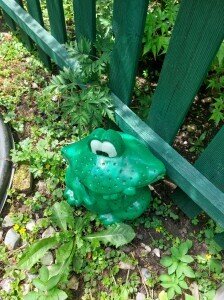 Vorschaubild: Frosch