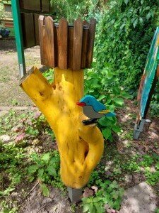Vorschaubild: Vogel