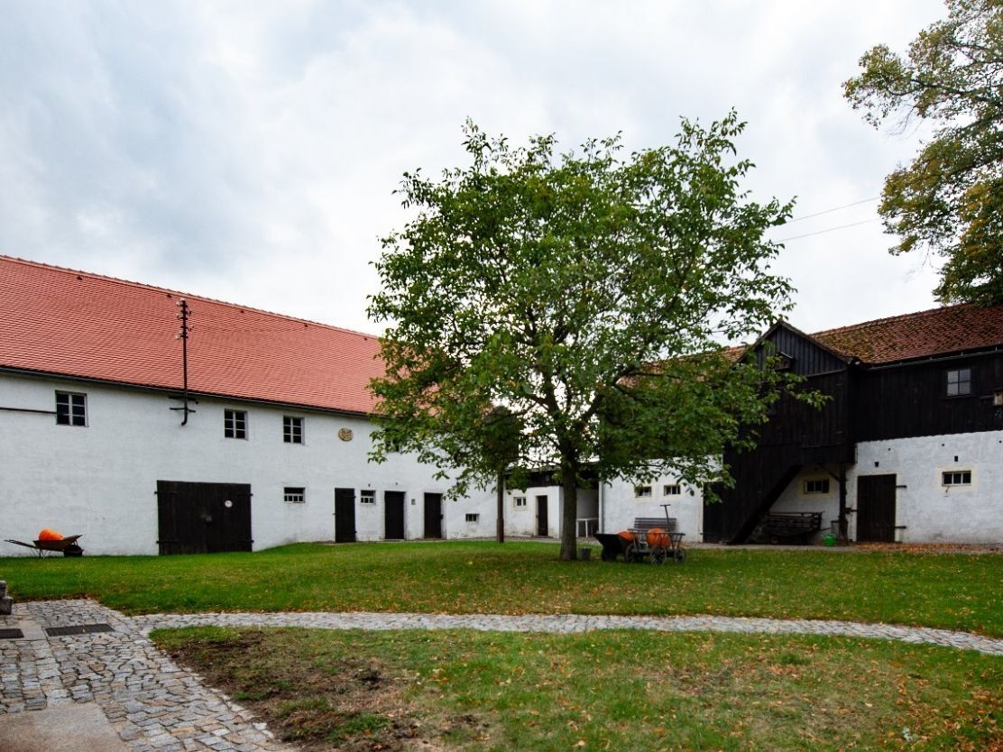 Bild der Galerie