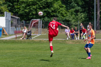 Foto des Albums: B Junioren vs. SpG SG Schildow/Glienicke