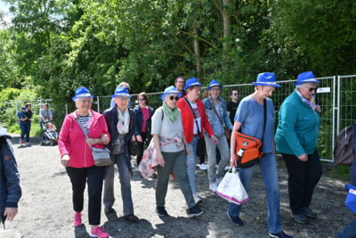 DSC 2642 (1) (1)  (Bild vergr&ouml;&szlig;ern)