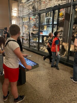 Vorschaubild der Galerie
