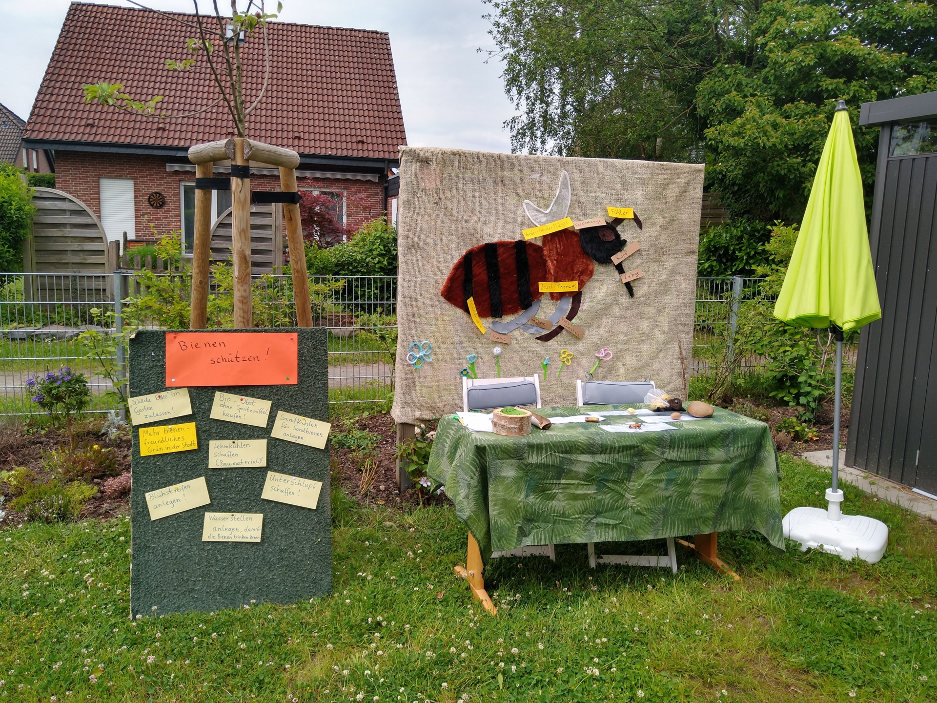 Bild: IMG 20240524 143654043 HDR