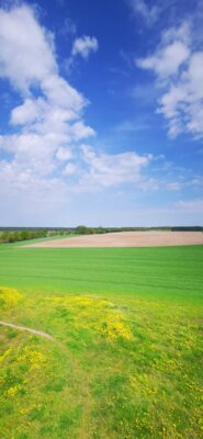 Foto des Albums: Mühlenberg