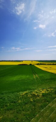 Fotoalbum Mühlenberg