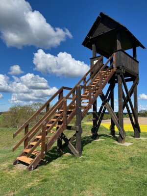 Foto des Albums: Mühlenberg