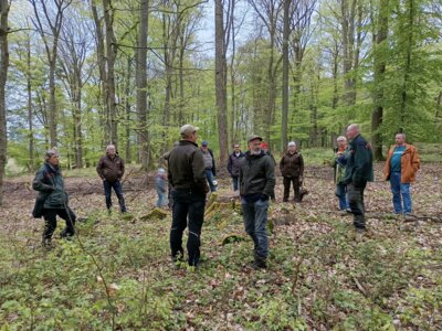 Foto des Albums: Waldbegehung 2024