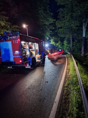 3  (Bild vergr&ouml;&szlig;ern)