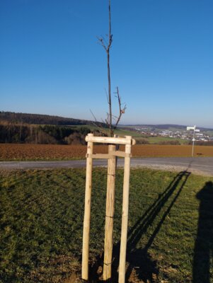Foto des Albums: Rastplatz am Radweg
