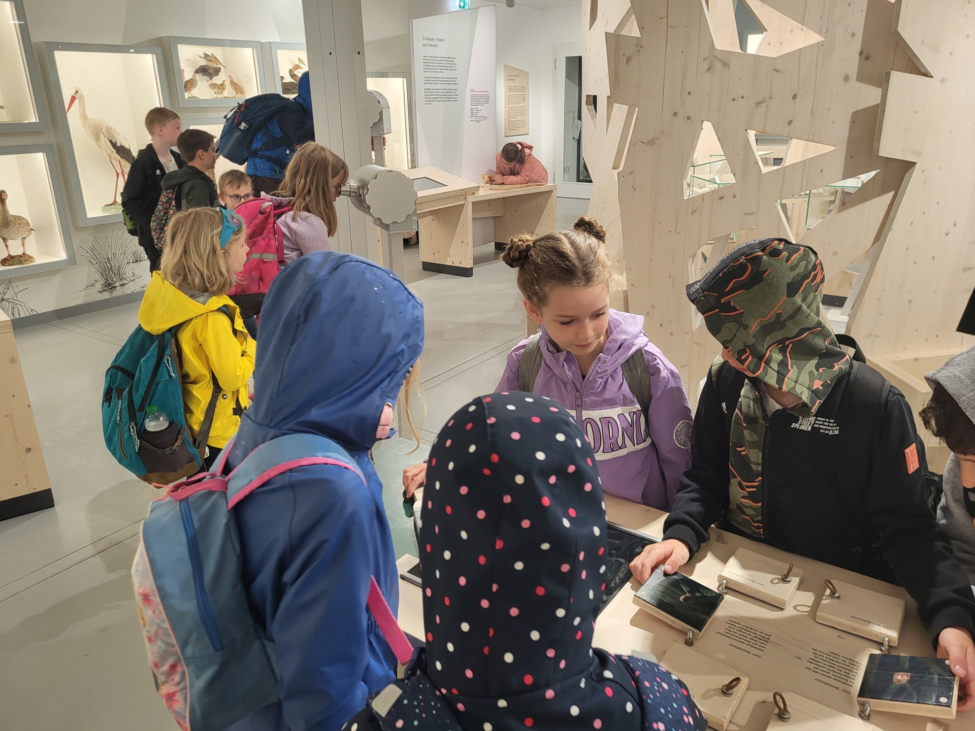 Bild der Galerie