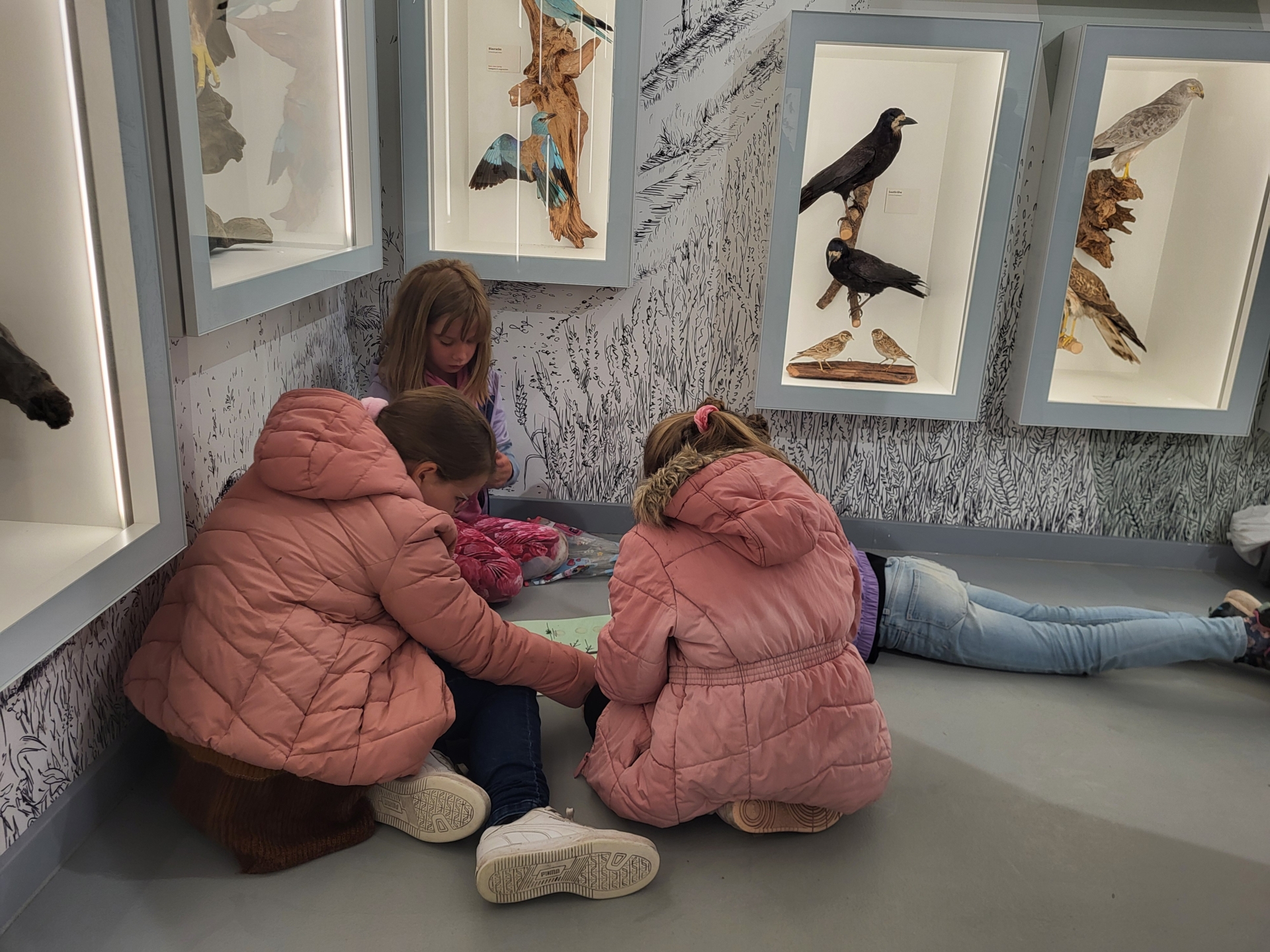 Bild der Galerie