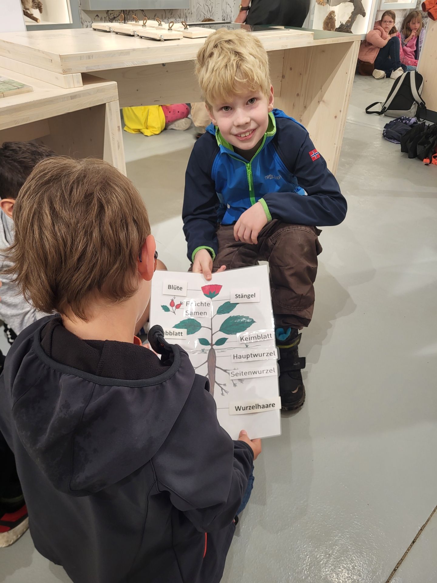 Bild der Galerie