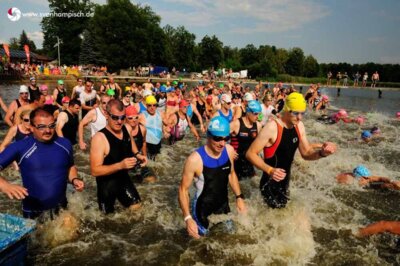 0165-4  (Bild vergr&ouml;&szlig;ern)