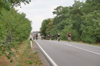 0763-1  (Bild vergr&ouml;&szlig;ern)