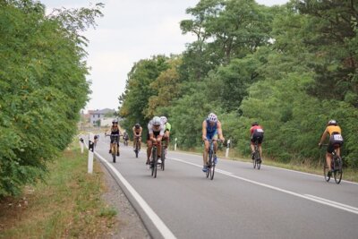 0769-1  (Bild vergr&ouml;&szlig;ern)