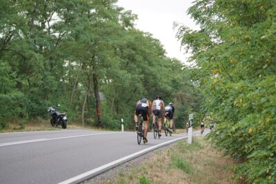 0775-1  (Bild vergr&ouml;&szlig;ern)
