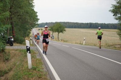 0879  (Bild vergr&ouml;&szlig;ern)
