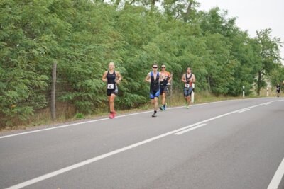 0913  (Bild vergr&ouml;&szlig;ern)