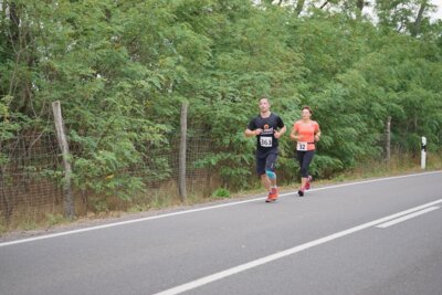 0933  (Bild vergr&ouml;&szlig;ern)