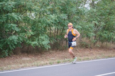 0946  (Bild vergr&ouml;&szlig;ern)
