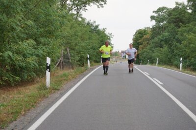 0966  (Bild vergr&ouml;&szlig;ern)