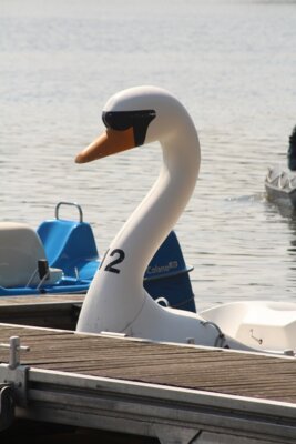 0977  (Bild vergr&ouml;&szlig;ern)