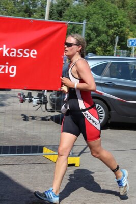1133  (Bild vergr&ouml;&szlig;ern)