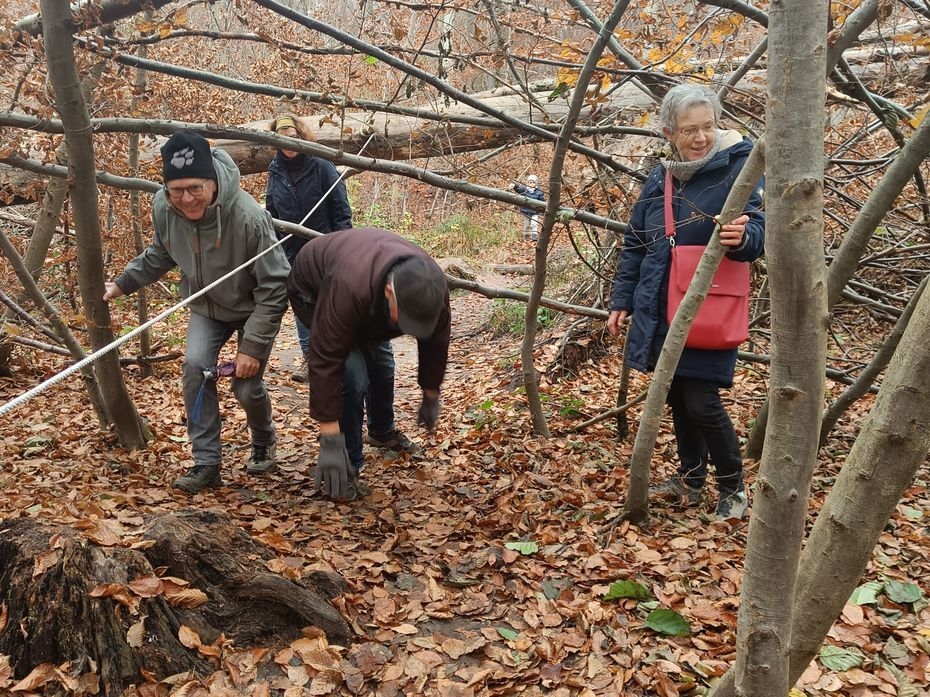 Bild: Der Fabienne-Steig ist ein abwechslungsreicher Rundweg.