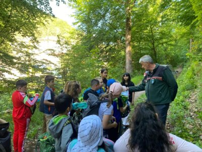 Waldjugendspiele  (6) 
