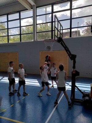 Foto des Albums: Basketball 2024