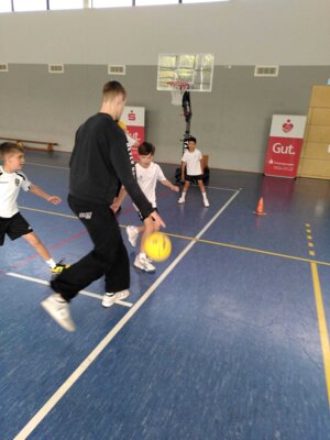 Foto des Albums: Basketball 2024