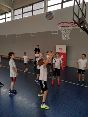 Foto des Albums: Basketball 2024