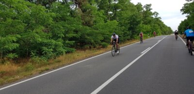 0088  (Bild vergr&ouml;&szlig;ern)