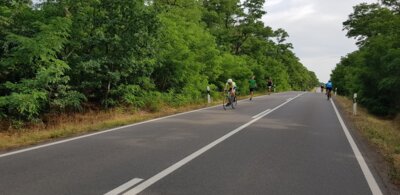 0090  (Bild vergr&ouml;&szlig;ern)