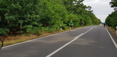 0091  (Bild vergr&ouml;&szlig;ern)