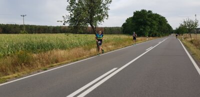 0113  (Bild vergr&ouml;&szlig;ern)